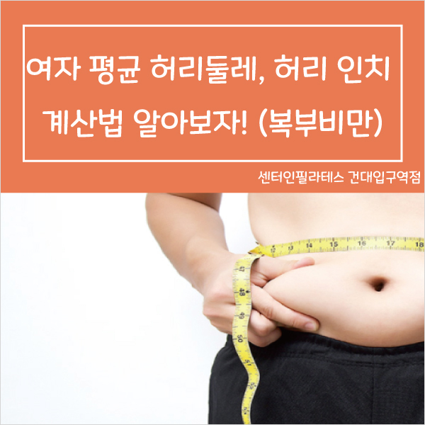 인치 계산법 여자 평균 허리둘레,