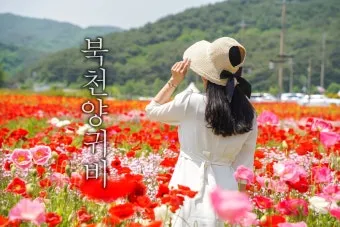 5월 경남 부산 근교 가볼만한곳 베스트10 명소_16