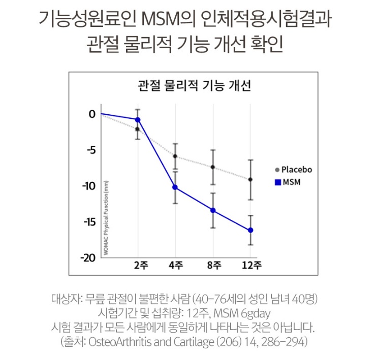 MSM-효능