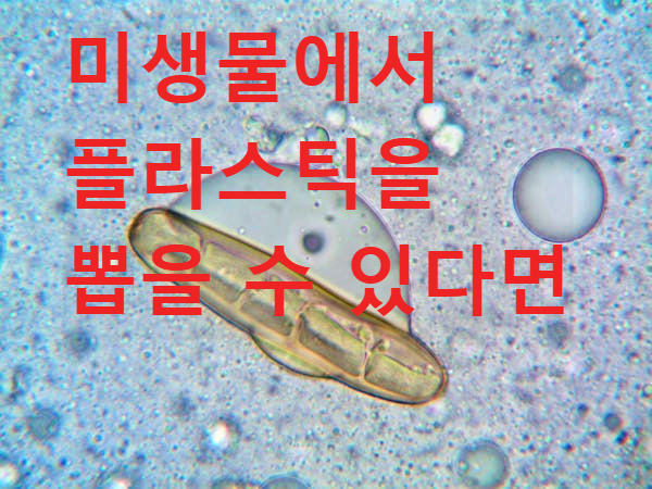 미생물에서 플라스틱을 뽑을 수 있다면