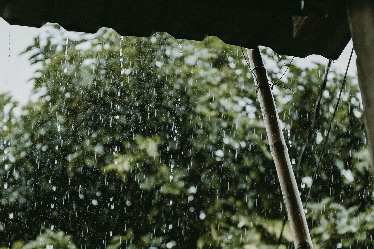 폭우 사진