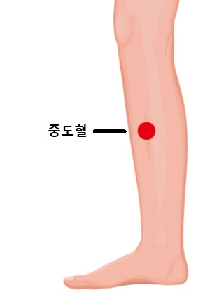 다리에 쥐가 자주나는 이유 – 빨리 3