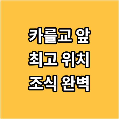 카를교 바로 앞 호텔 포드 베지 프라