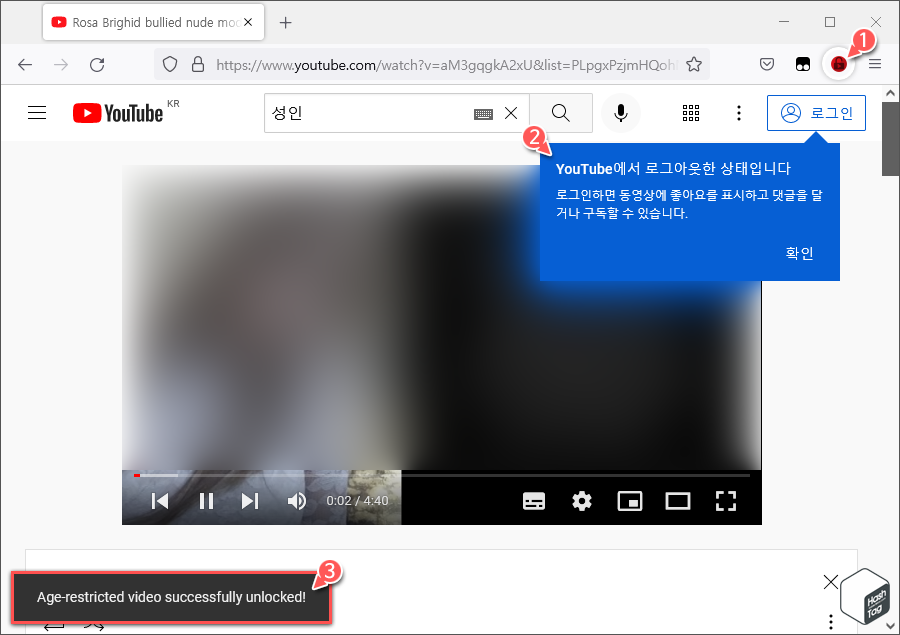 Age Restriction Bypass for YouTube™ 정상 동작 확인