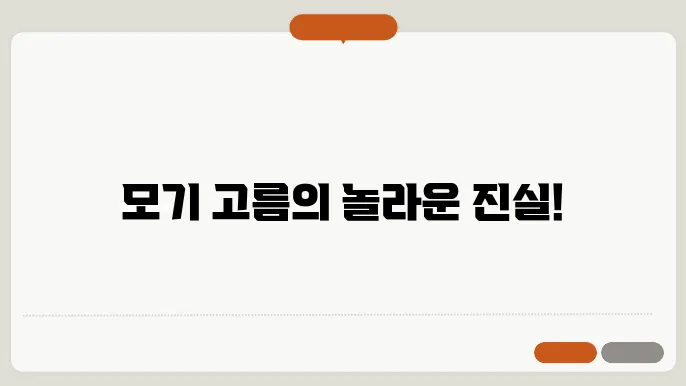 모기 고름