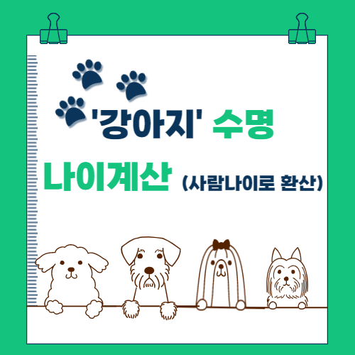  강아지 수명, 나이 계산 (사람나이로 환산)