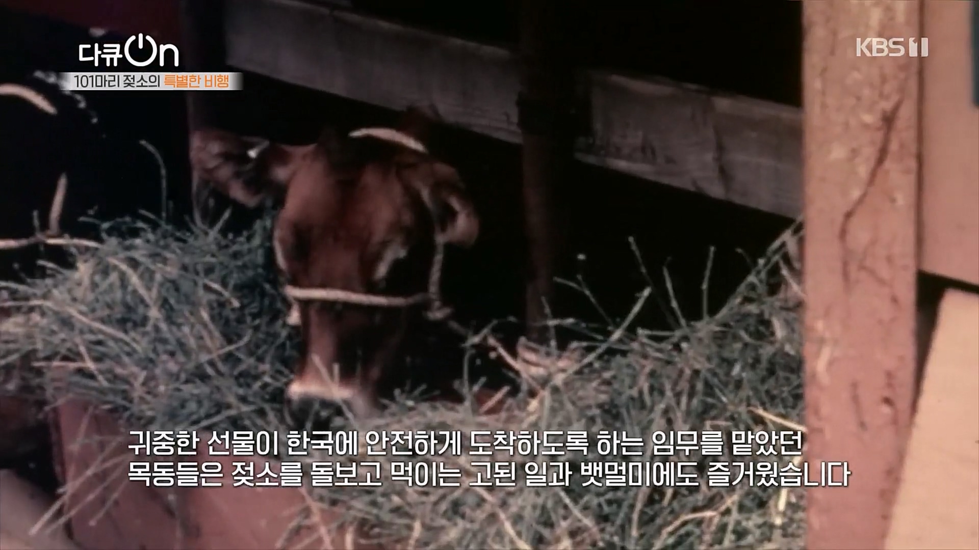 다큐 On.E184.230203p.H264-F1RST.mp4_20230211_173823.923.jpg