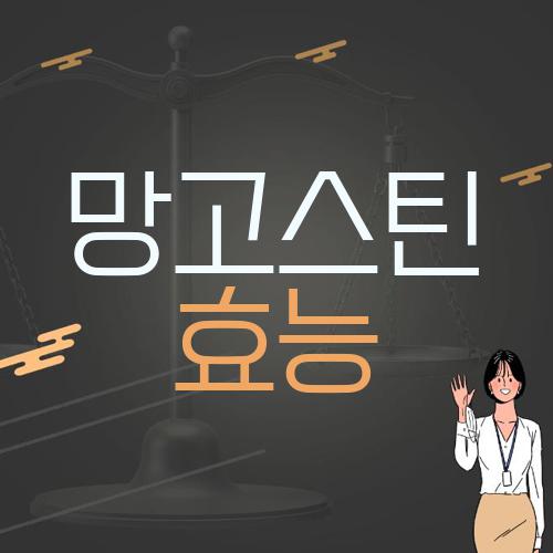 망고스틴 효능