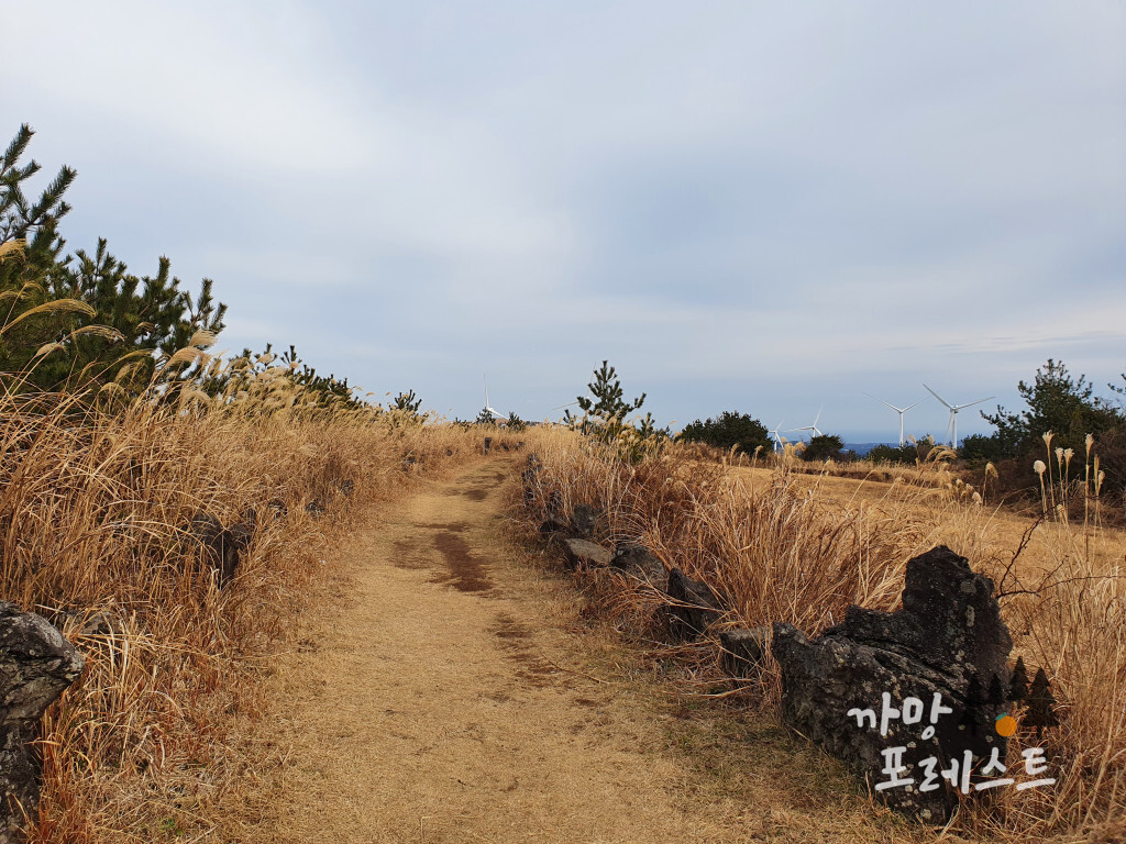 큰사슴이 오름 초입