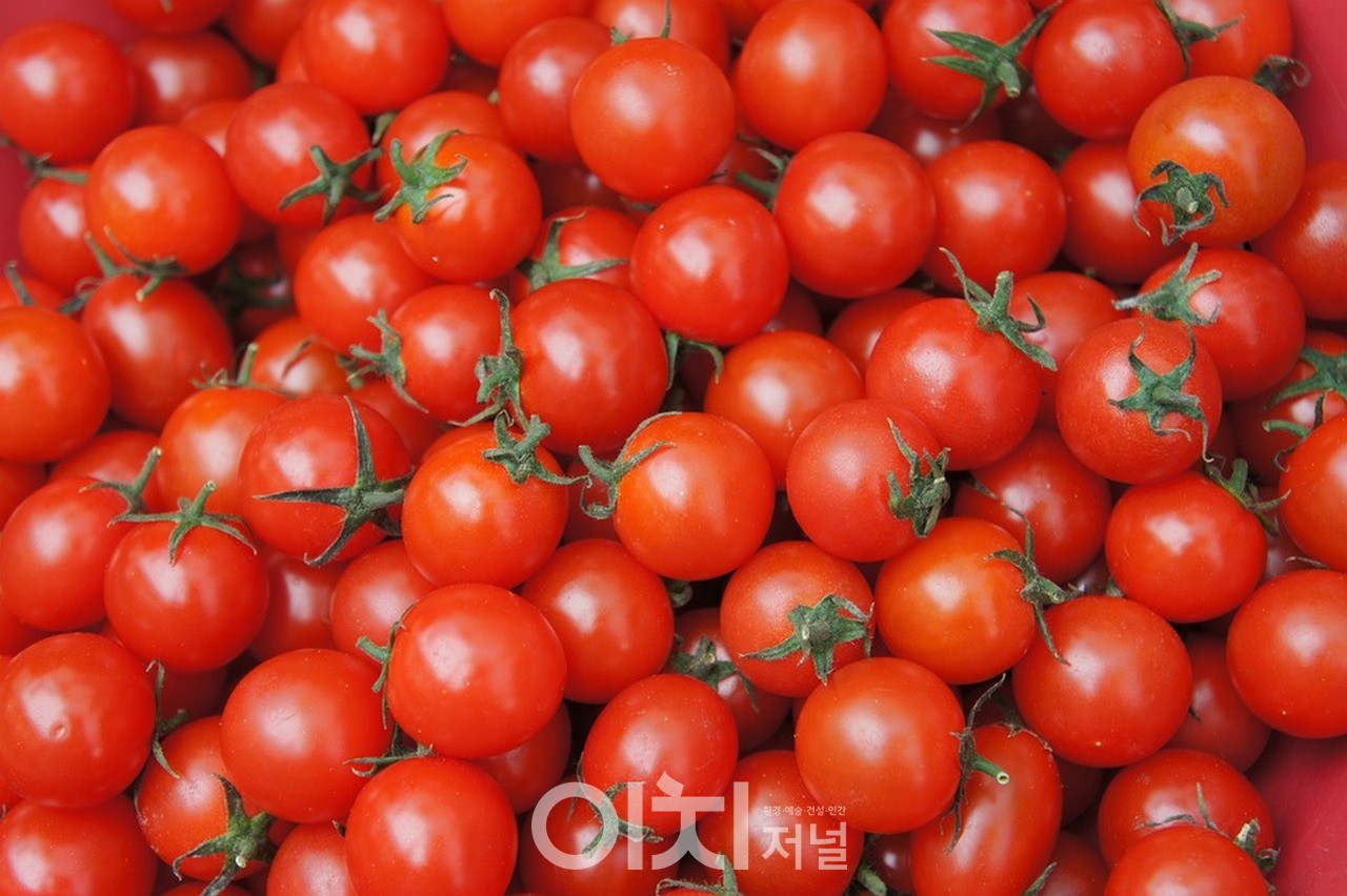 올스타축산 이미지
