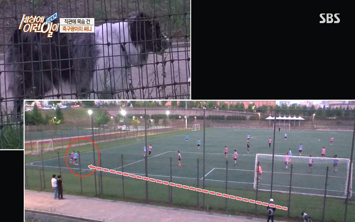 순간포착 세상에 이런일이.E1188.220713p-NEXT.mp4_20220713_175337.133.jpg