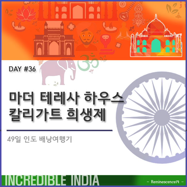  인도 배낭여행 - 캘커타 마더테레사 하우스 봉사활동, 칼리가트 희생제 - DAY 36