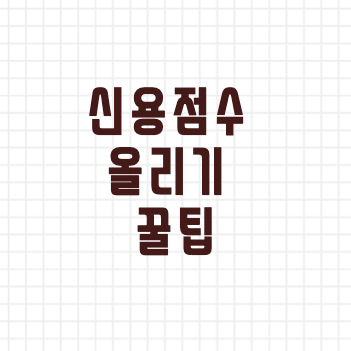  신용점수 올리기 꿀팁(네이버, 카카오, 토스)