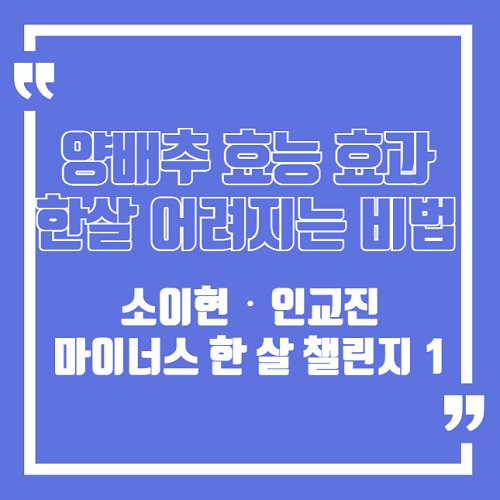 양배추 효능 효과 : 소이현‧인교진 한 살 어려지는 비법, 마이너스 한 살 챌린지 -1