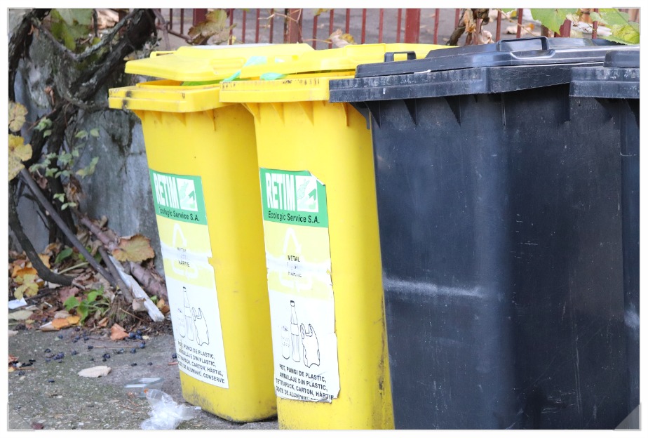 스티로폼분리수거 1000% 1