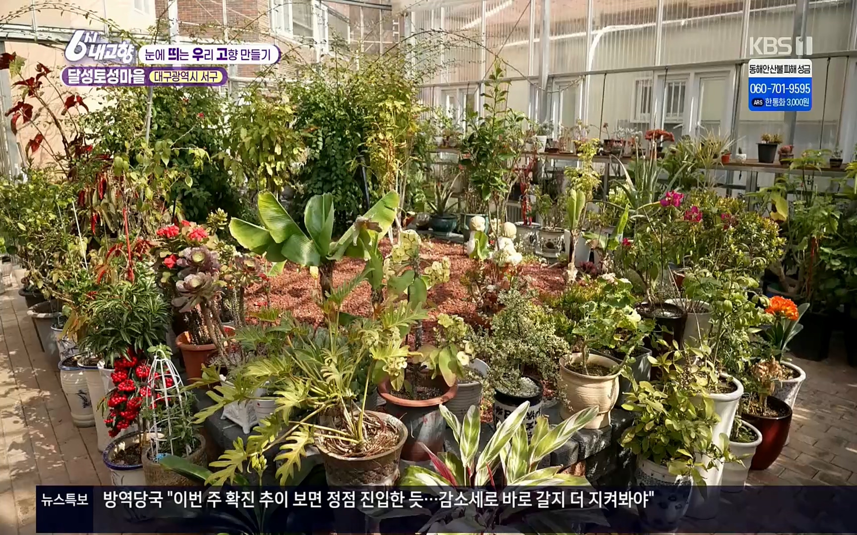 6시 내고향.E7496.220324p.H264-F1RST.mp4_20220328_181554.041.jpg