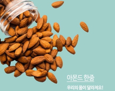 아몬드 한줌 하루 섭취량