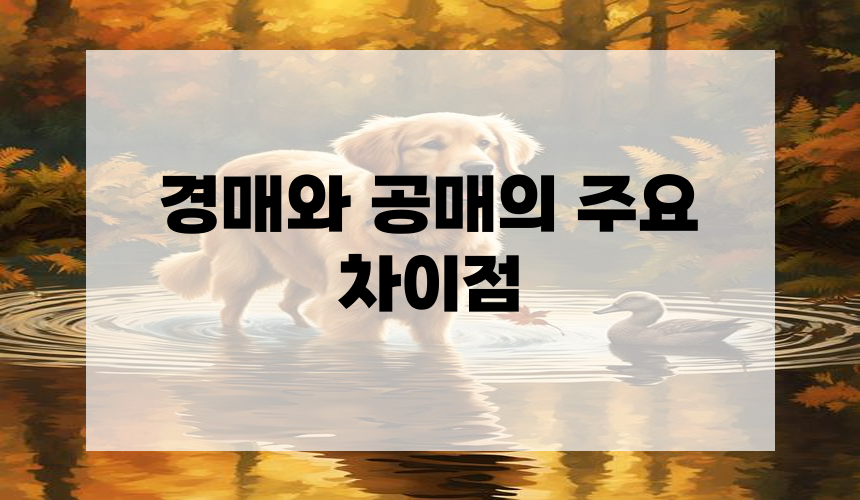 3. 경매와 공매의 주요 차이점