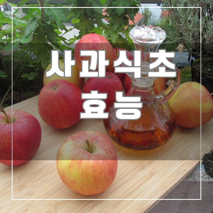 사과식초 효능