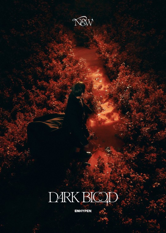 ENHYPEN Teases Final Concept for Upcoming Mini Album &#39;DARK BLOOD&#39; with Intense Red Imagery
