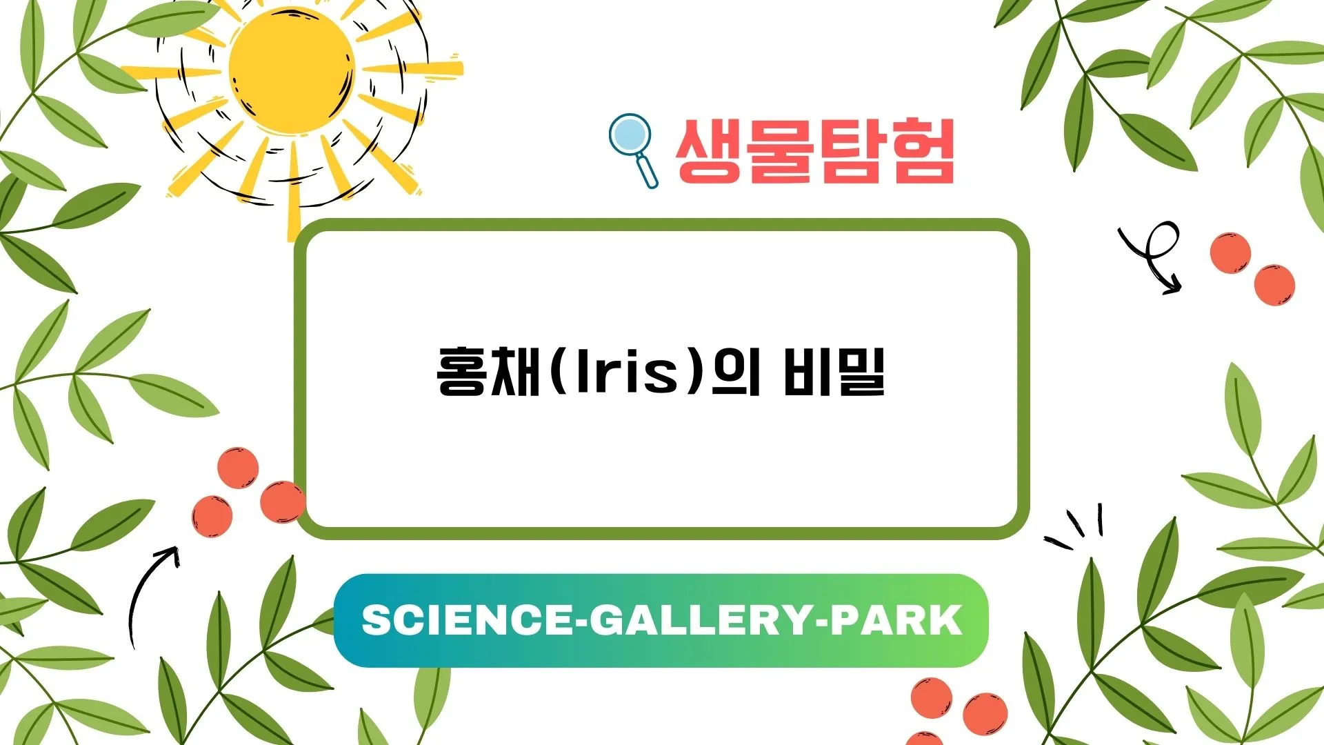 홍채의 비밀에 대해서 알려드립니다.