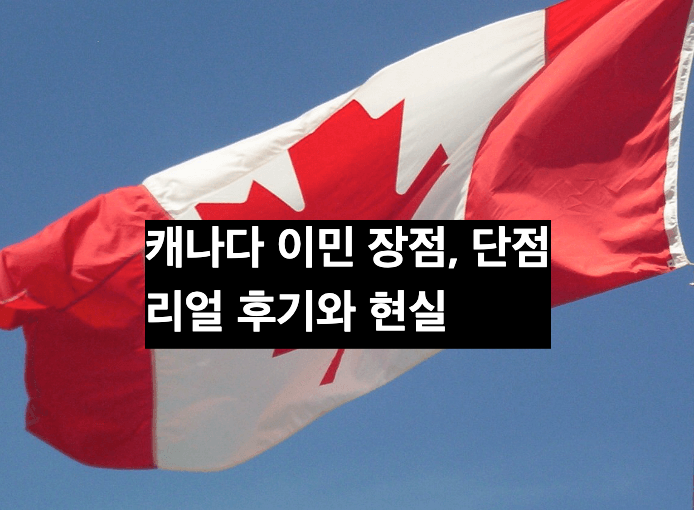 캐나다 국기 사진