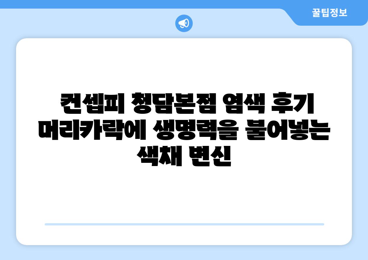 컨셉피 청담본점 염색 후기 머리카락에 생명력을 불어넣는 색채 변신