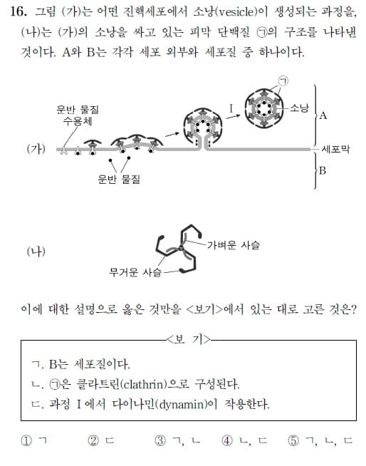  2024 MD 자연과학 I (생물) 해설 16 ~ 20번