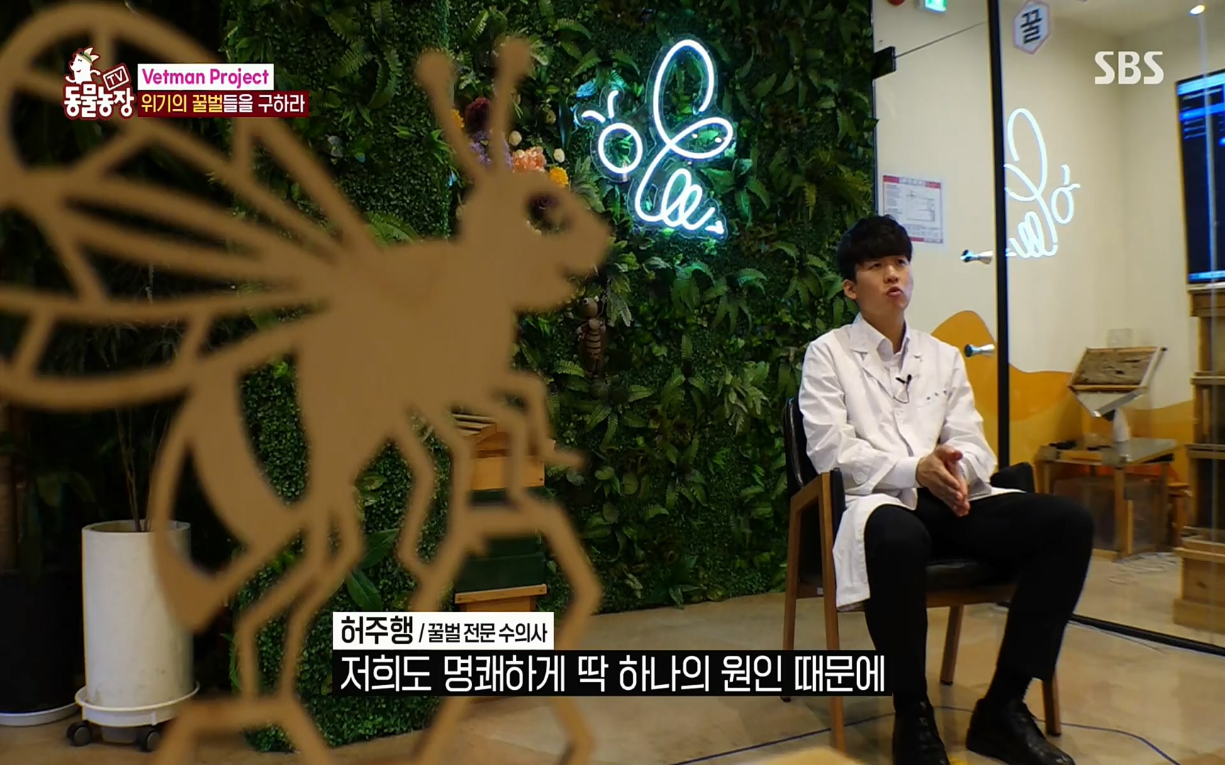 TV 동물농장.E1072.220605p.H264-F1RST.mp4_20220605_181203.560.jpg