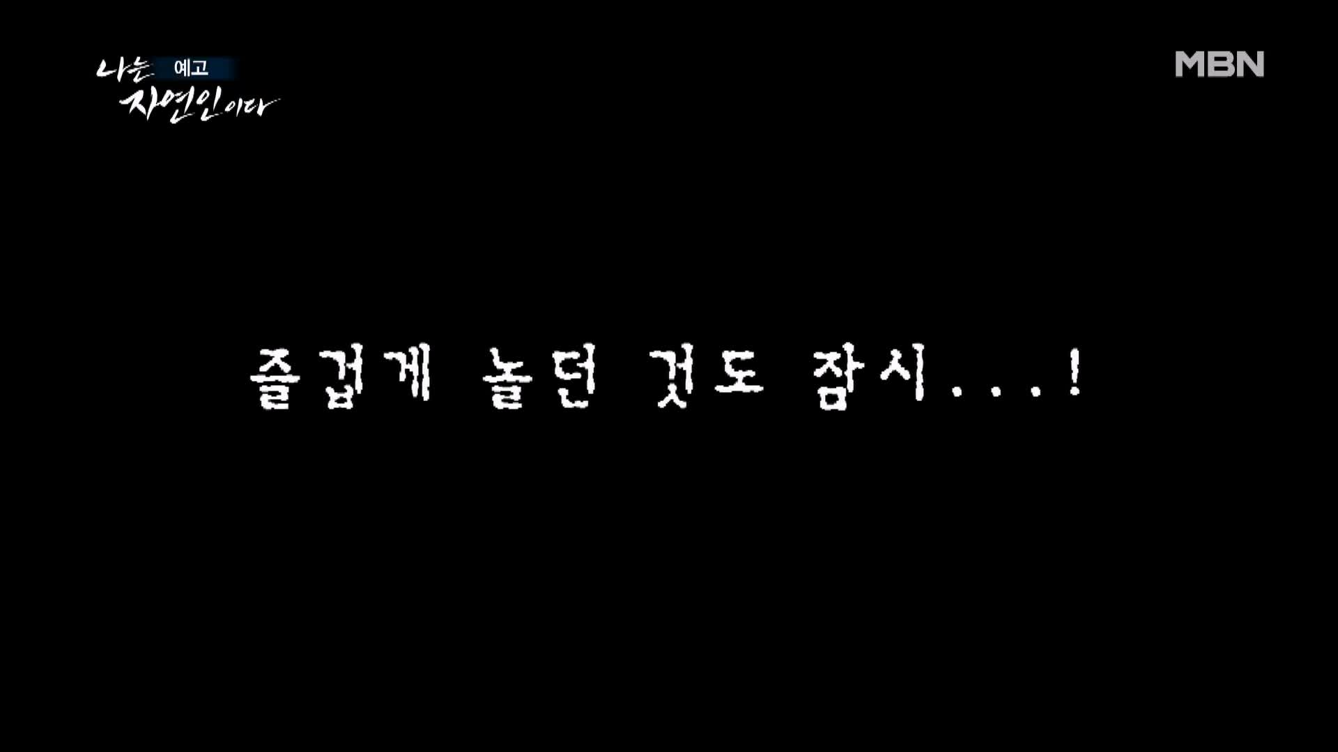 나는 자연인이다 겨울왕국 혹한 자작나무 피톤치드 닭개장 동치미 국수 자연인 김명기 소개 및 이승윤 출연 536회 다시보기