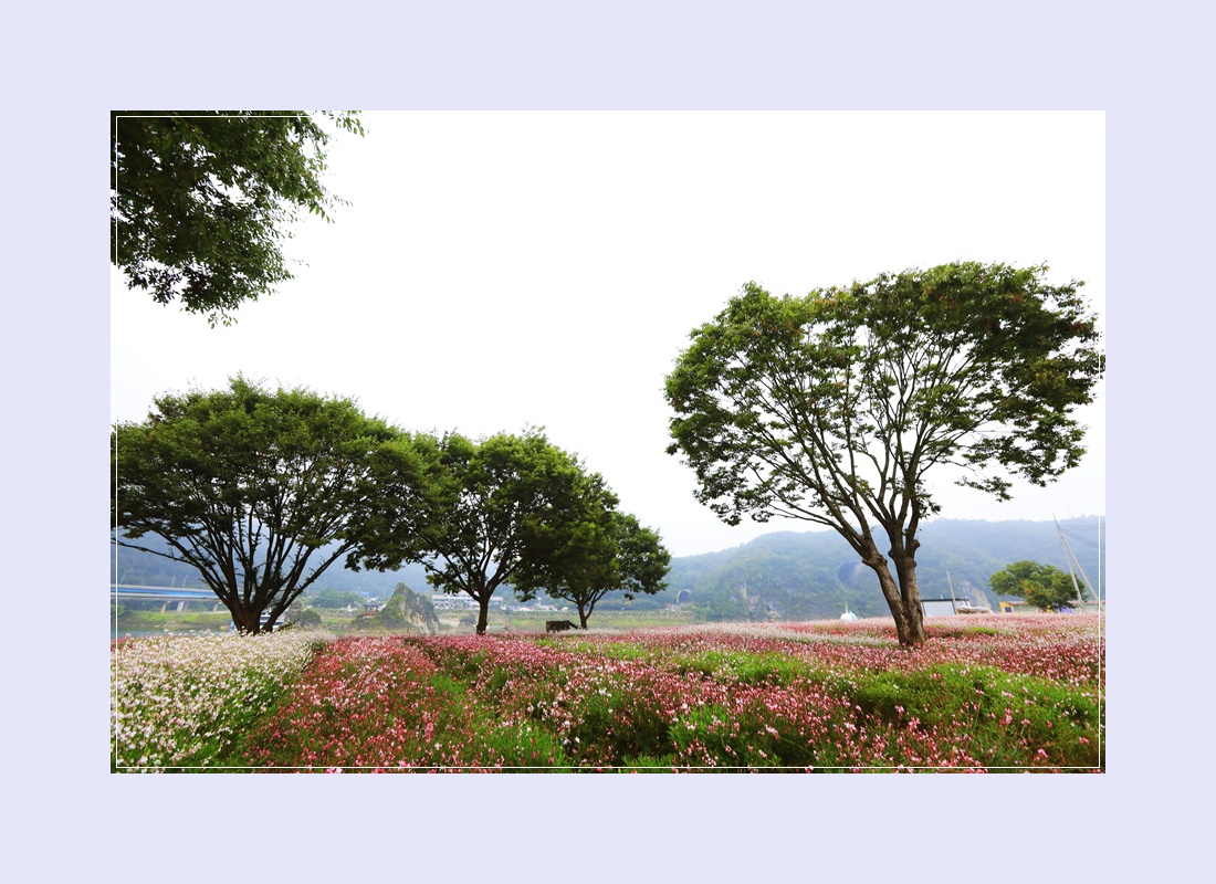 도담행복마을 이미지