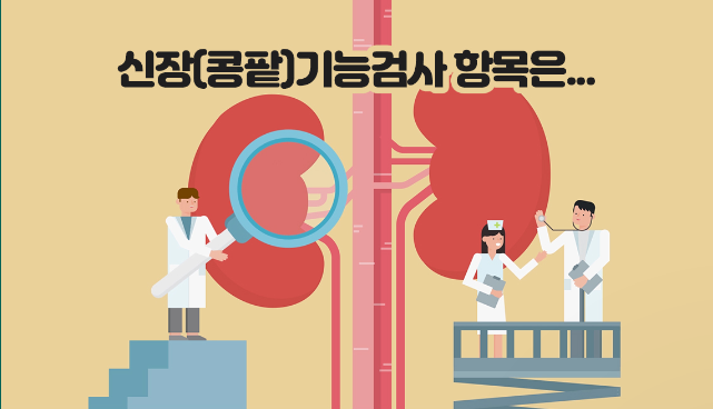 신장 기능 검사 항목