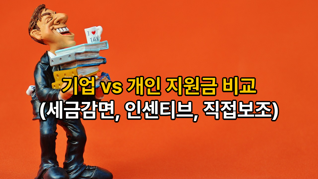 기업 vs 개인 지원금 비교