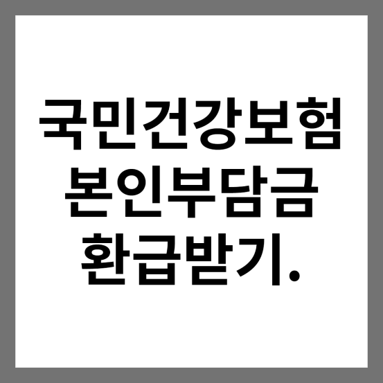 국민건강보험 본인부담금 환급