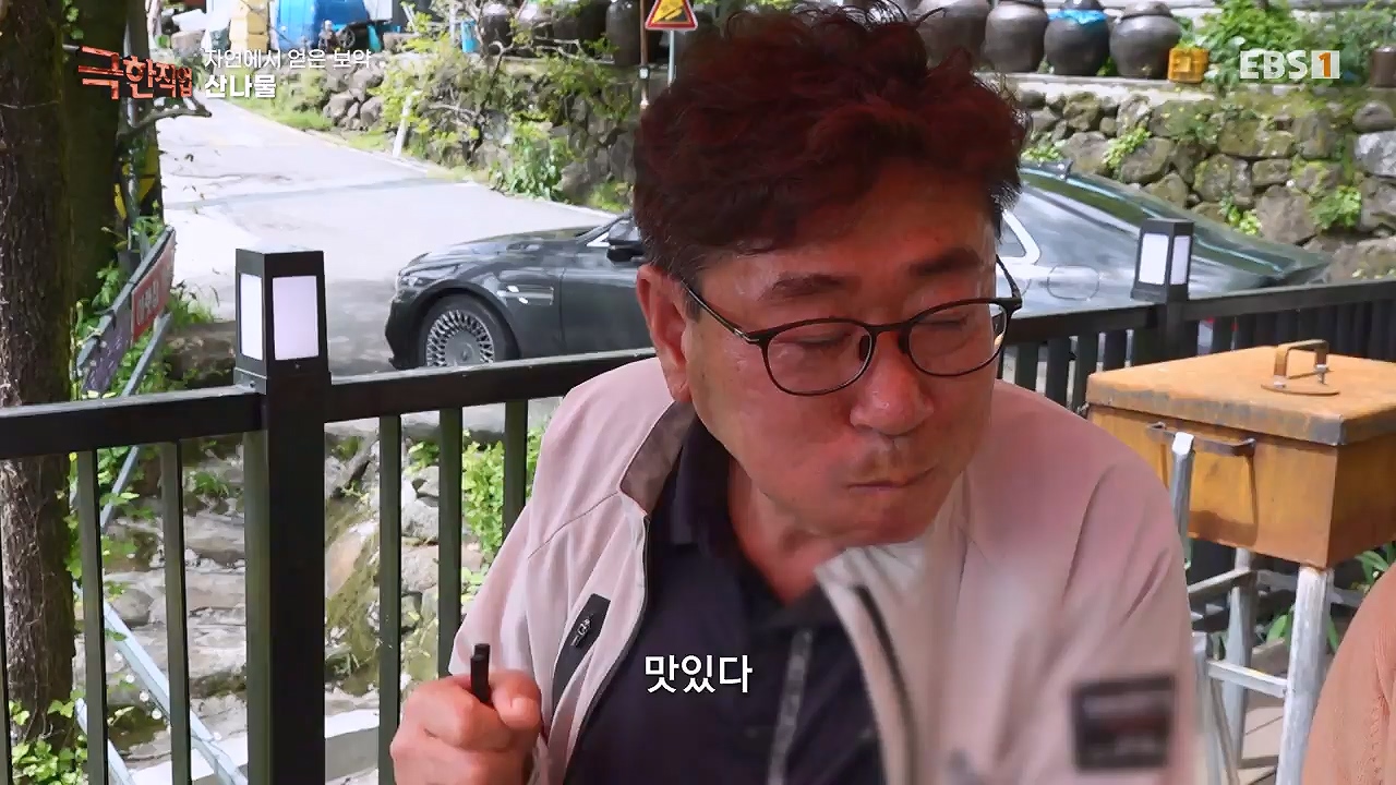 TV - 전 국민의 평생학교 EBS자연에서 얻은 보약, 상황버섯과 산나물, 쌍화차.mp4_20240615_172251.318.jpg