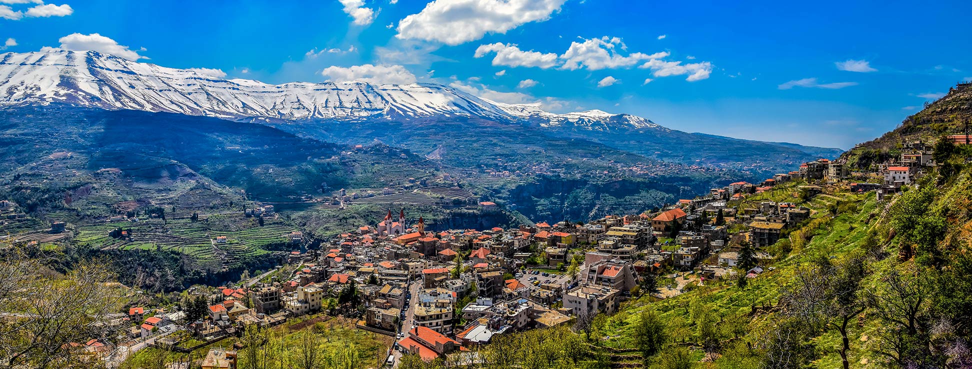 레바논 산