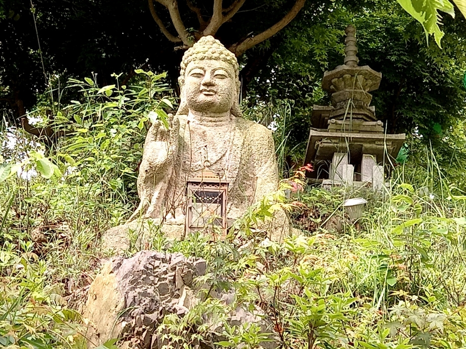img.jpg