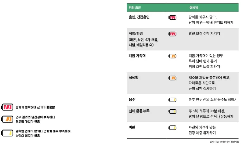 폐암 원인
폐암 종류
폐암 사망률
폐암 흡연
폐암 증상
폐암 검사
폐암 조기 발견
폐암 예방