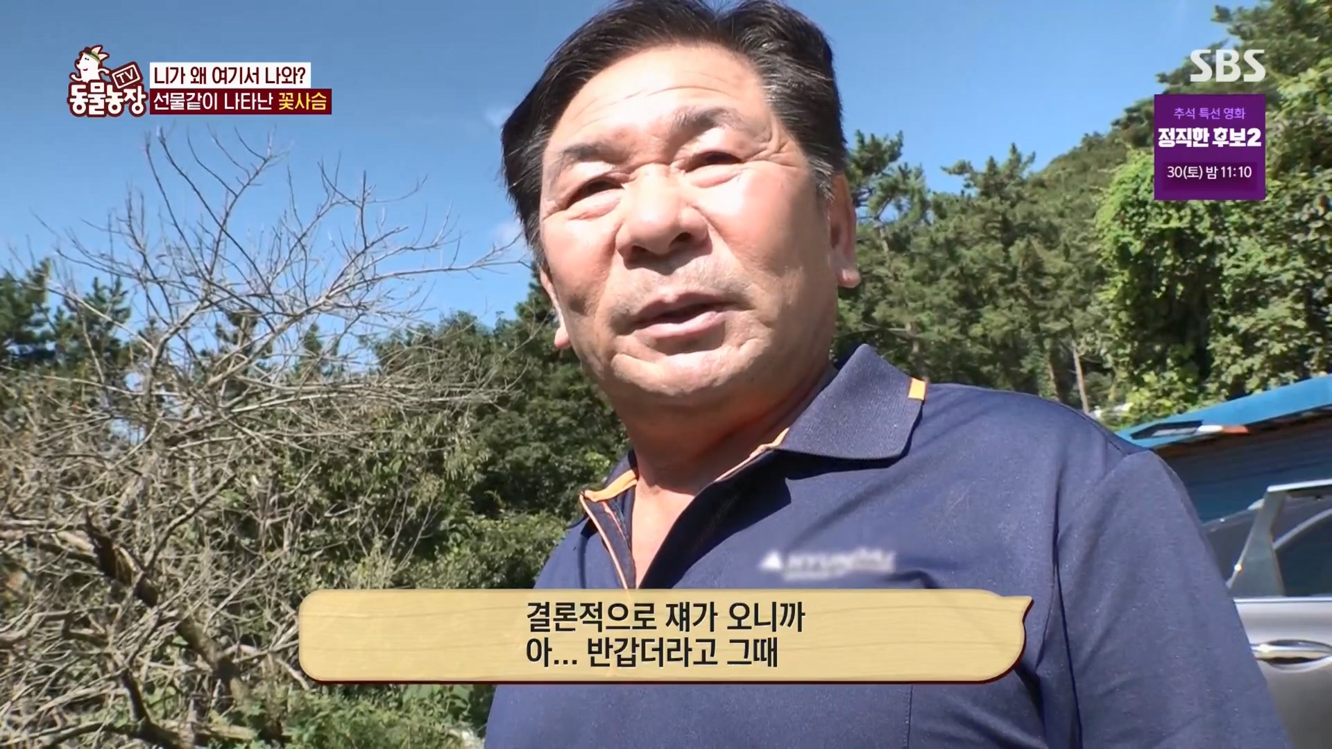 TV 동물농장.E1139.230924p.H264-F1RST.mp4_20230924_171727.124.jpg