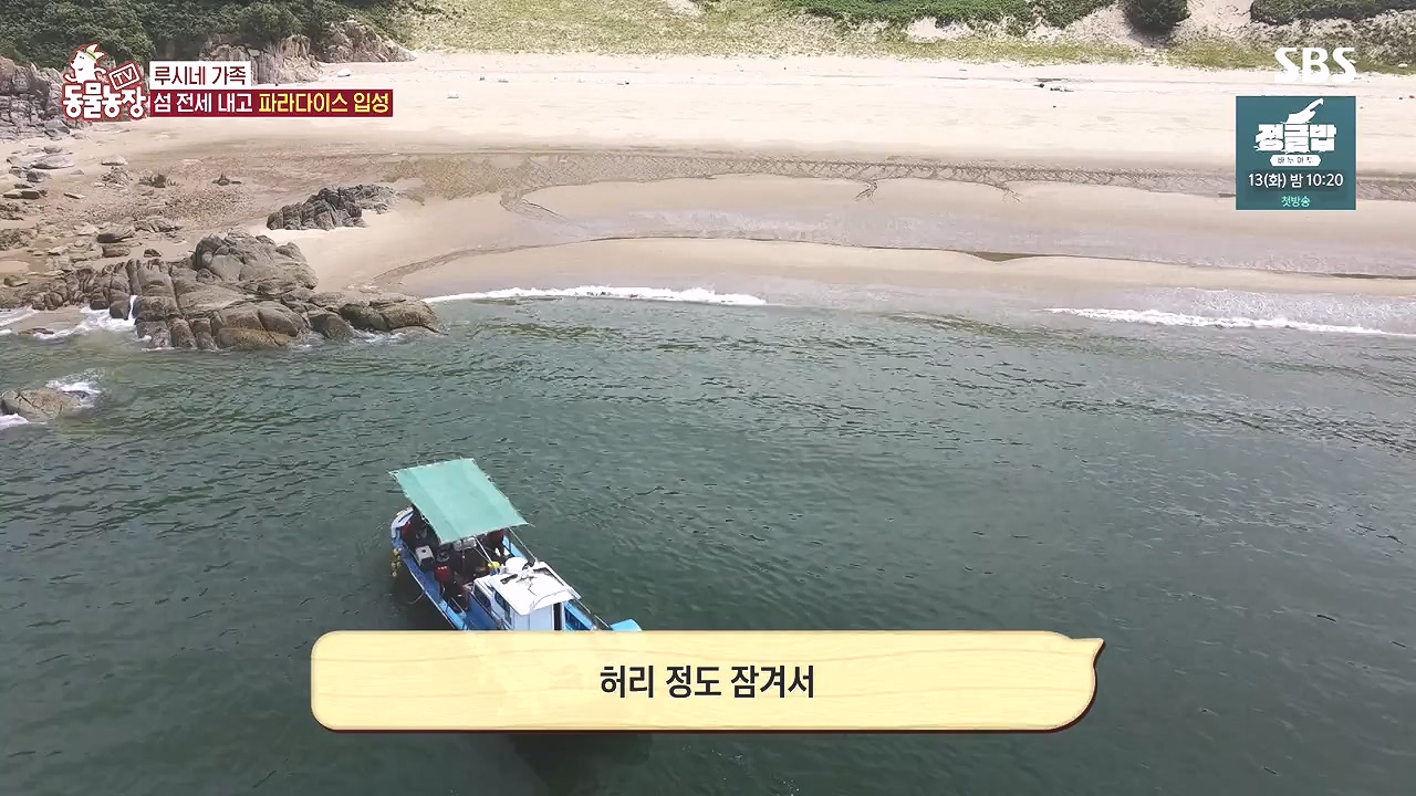 TV 동물농장.E1184.240812p-NEXT.mp4_20240811_172456.972.jpg