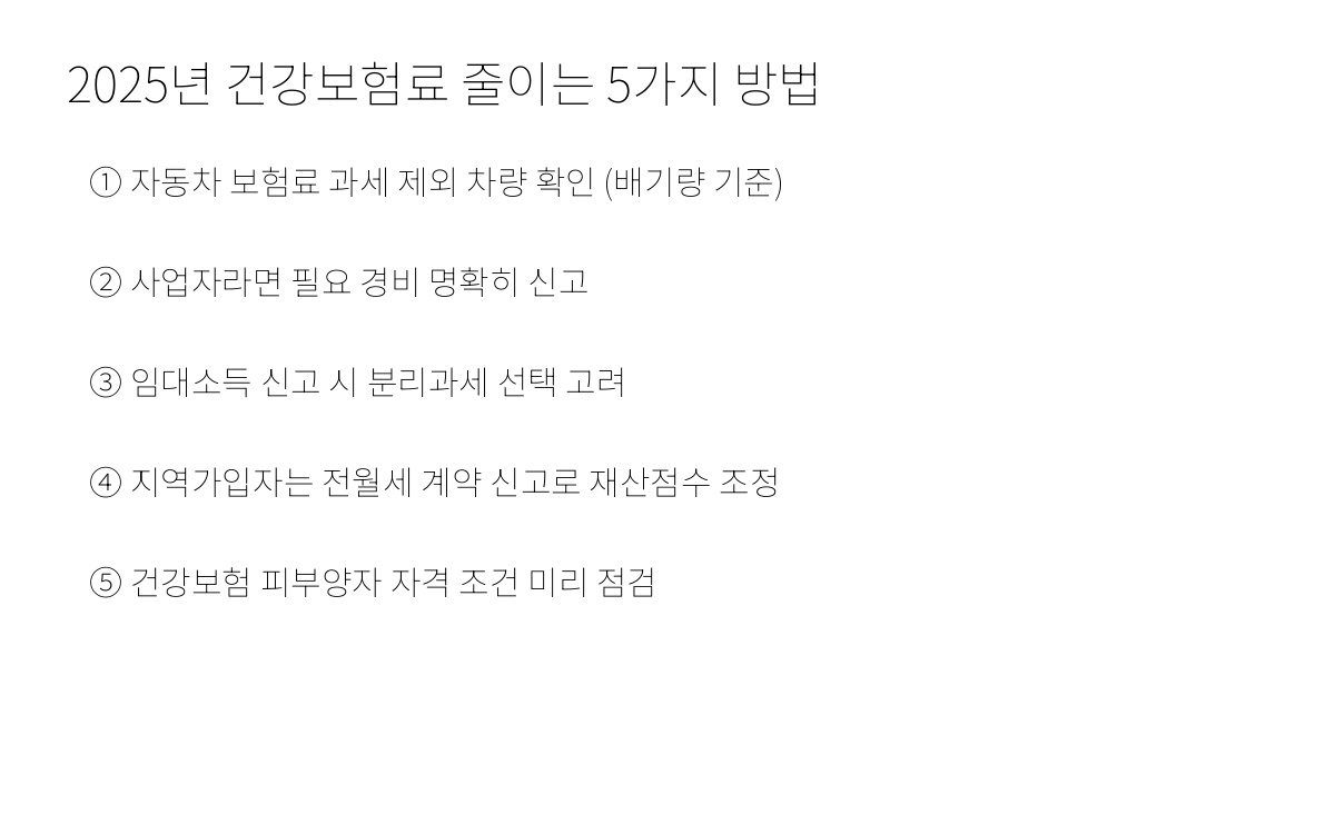 2025년 건강보험료 줄이는 방법 인포그래픽 - 지역가입자 절세 팁