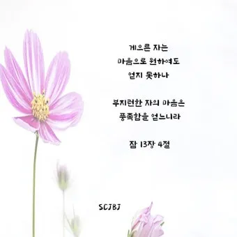 잠언 3장 5절 읽기 - 너는 마음을 다하여 여호와를 신뢰하고 네 명철을 의지하지 말라_2