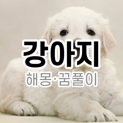 강아지 꿈 - 새끼 강아지 꿈 해몽 풀이 강아지 꿈 - 새끼 강아지 꿈 해몽 풀이