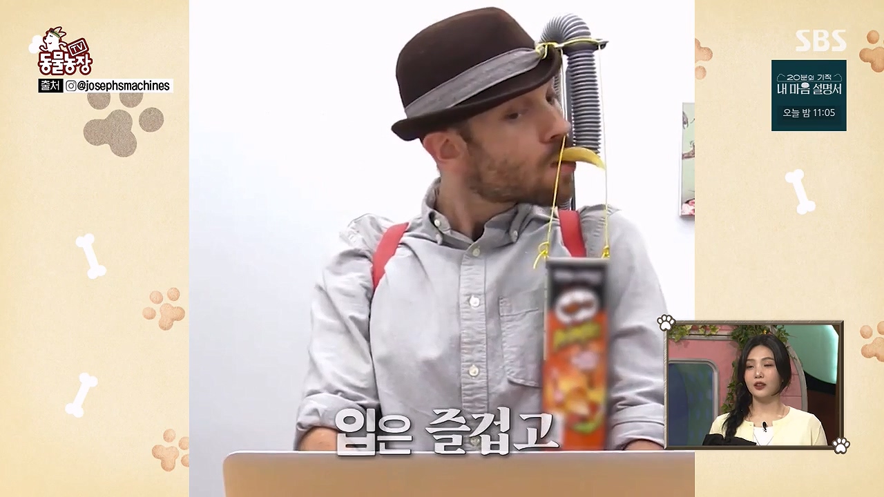 TV 동물농장.E1172.240520p-NEXT.mp4_20240519_162150.830.jpg