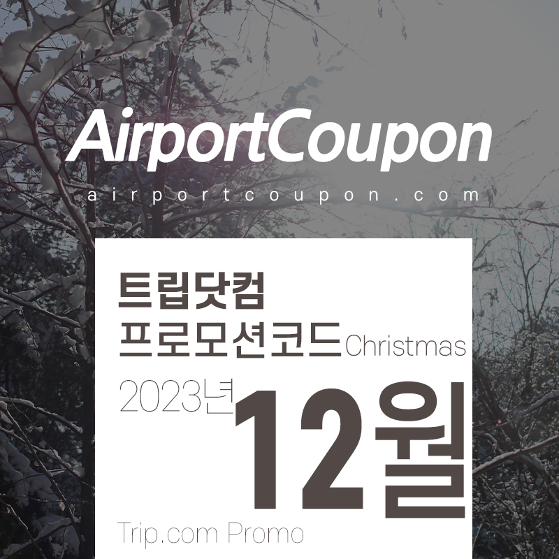 트립닷컴 12월 할인코드 올해 마지막 빅세일 프로모션 5만원 특가 Trip.com Promo 2023 해돋이 일출여행