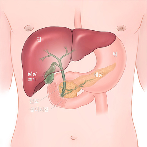 당남 사진