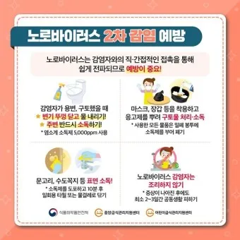 노로바이러스 증상 빠르게 대처하는 방법_8