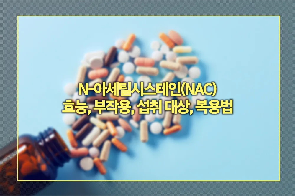 N-아세틸시스테인(NAC) 효능, 부작용, 섭취 대상, 복용법