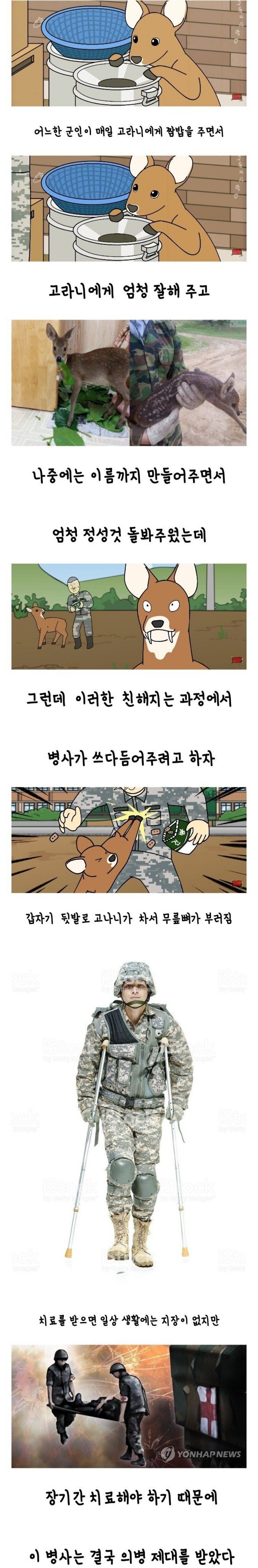  고라니 밥주다 의병제대한 썰