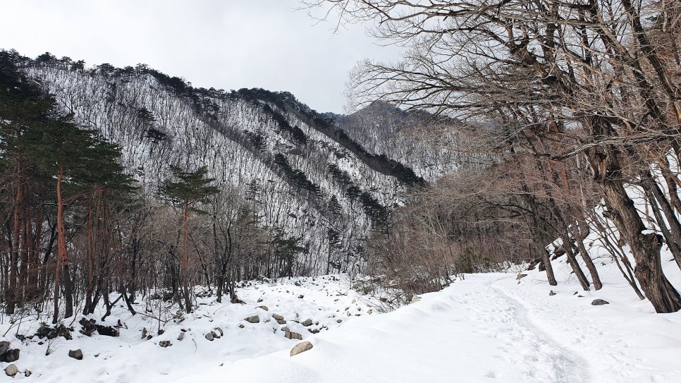 눈쌓인설악산, 20